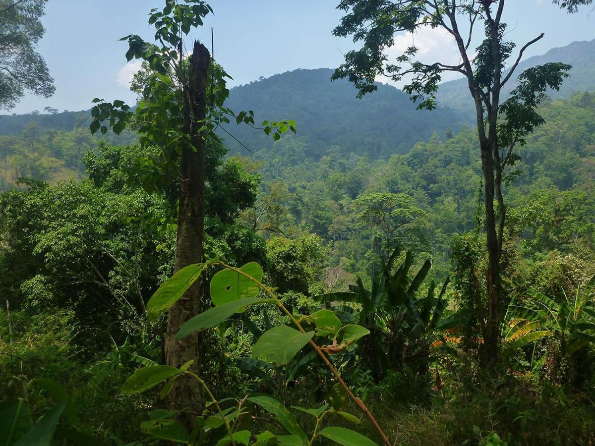 Hidden Valley Bungalows Baan Tai Eksteriør bilde